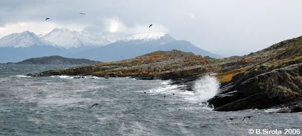 Beagle channel is rough but abundant with wildlife