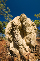 Termite mounts - common sight around Cairns, QLD