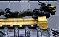Nikko Toshogu Dragon