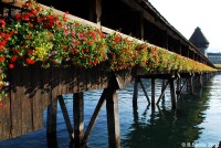 Famous wooden bridge of Lucerne